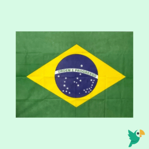 TNT PAINEL BANDEIRA DO BRASIL FESTA GRANDE 1 M X 1,40 METROS